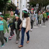 Desfile de Carnaval das Escolas 2024